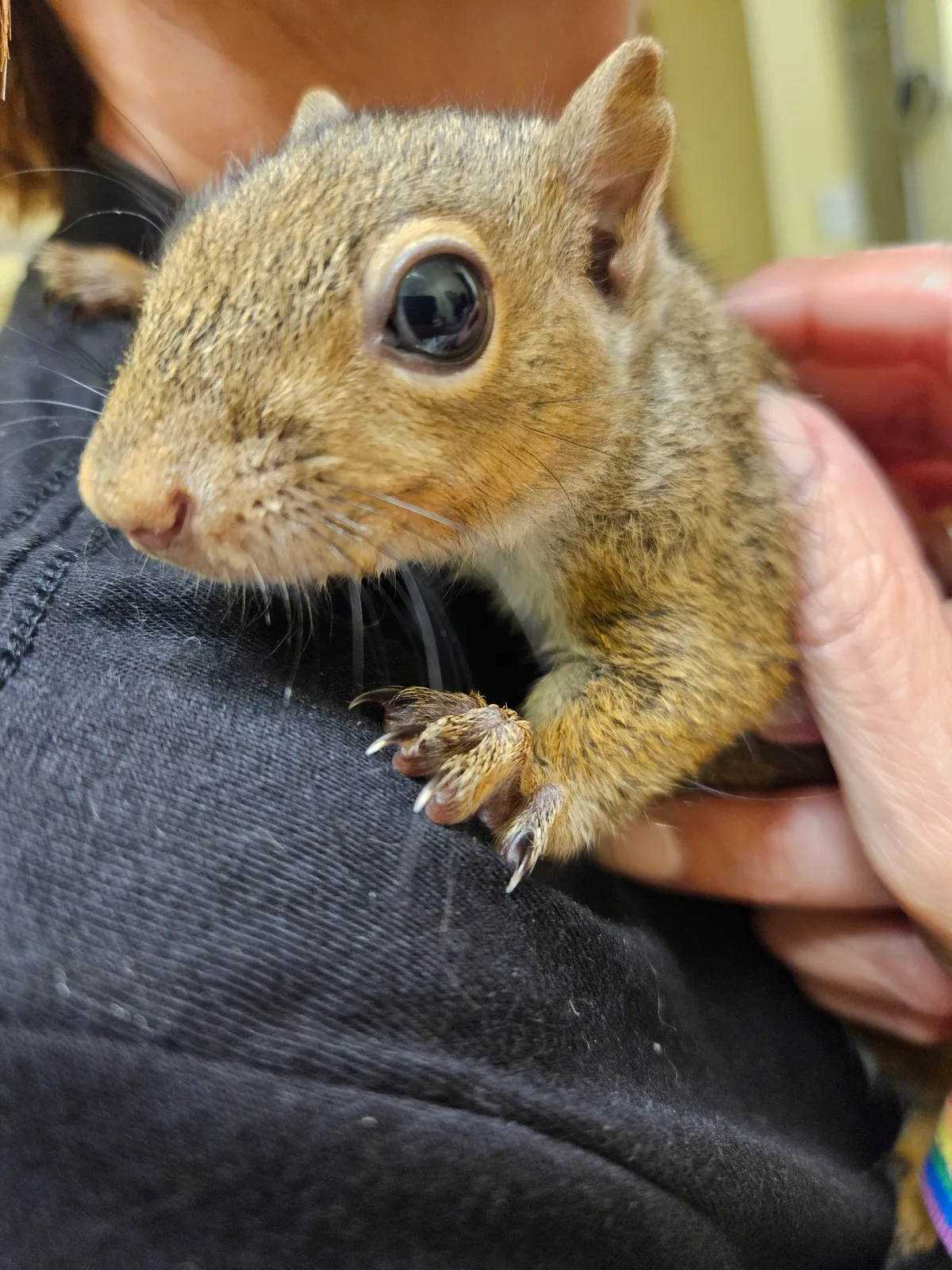 Photo posted by Scrat ("Booger" McSquinty Gilzow)