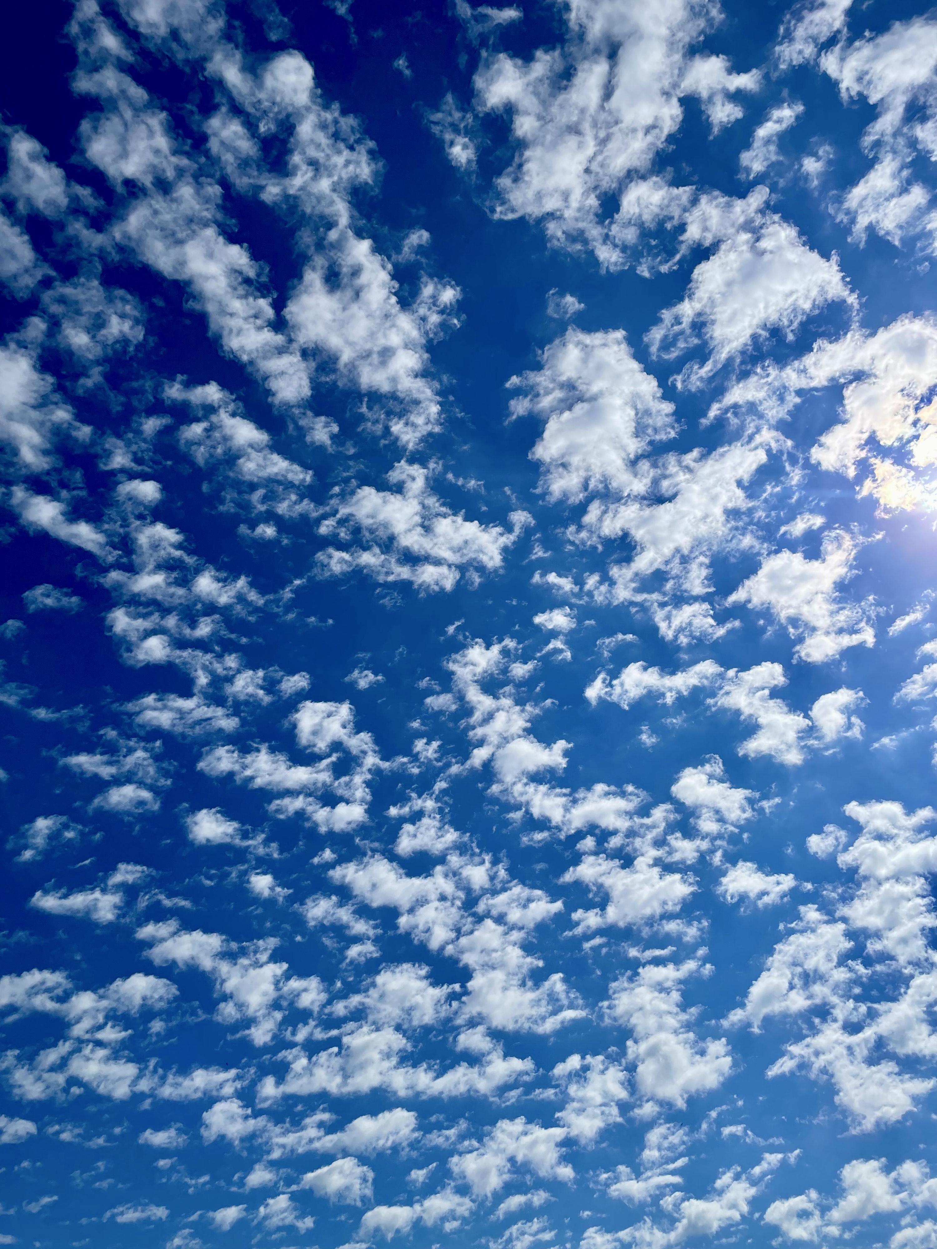 Bright blue sky over Langone Park with scattered white cloud patterns illuminated by morning sunlight.