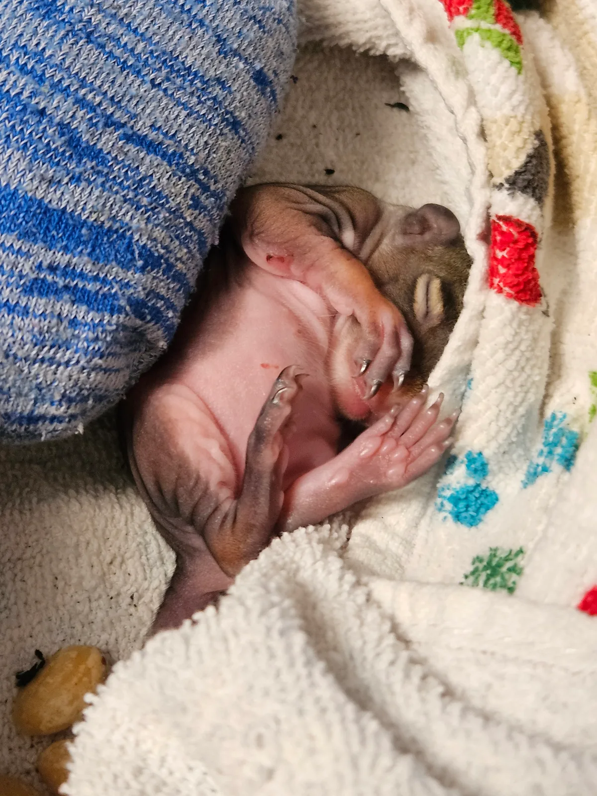 Photo posted by Scrat ("Booger" McSquinty Gilzow)