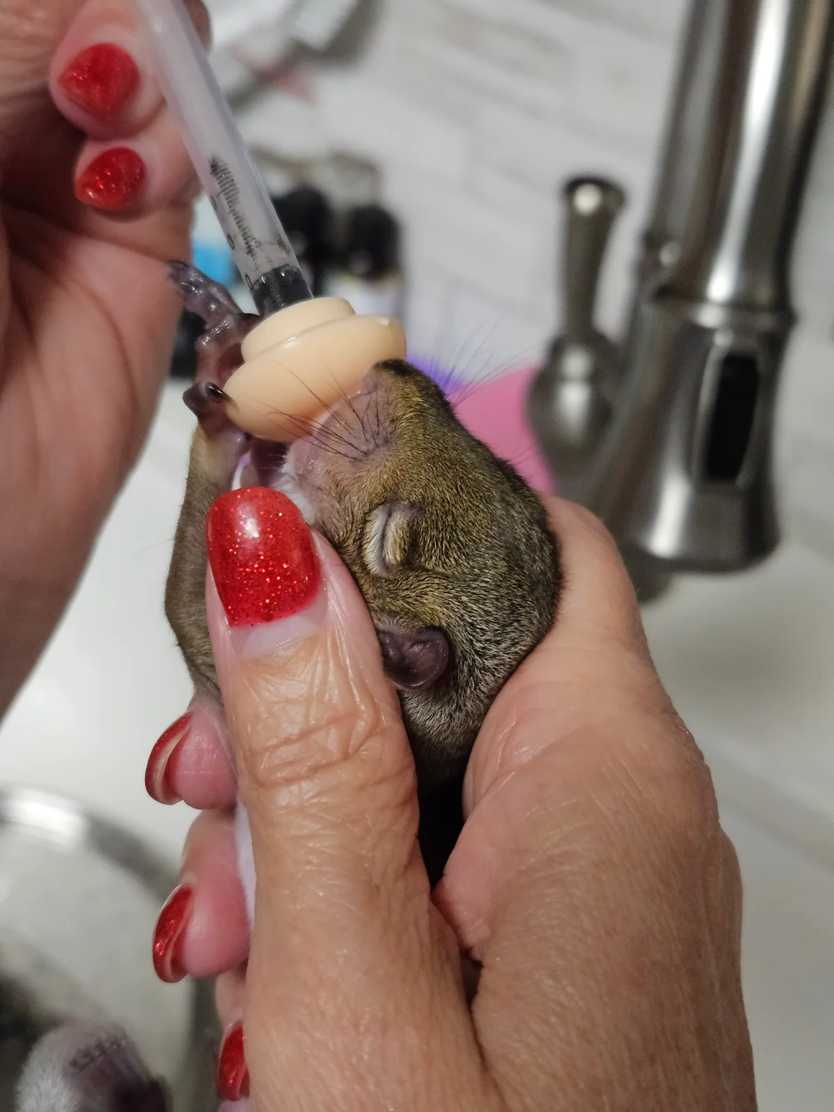 Scrat ("Booger" McSquinty Gilzow): Dinner! Finally!