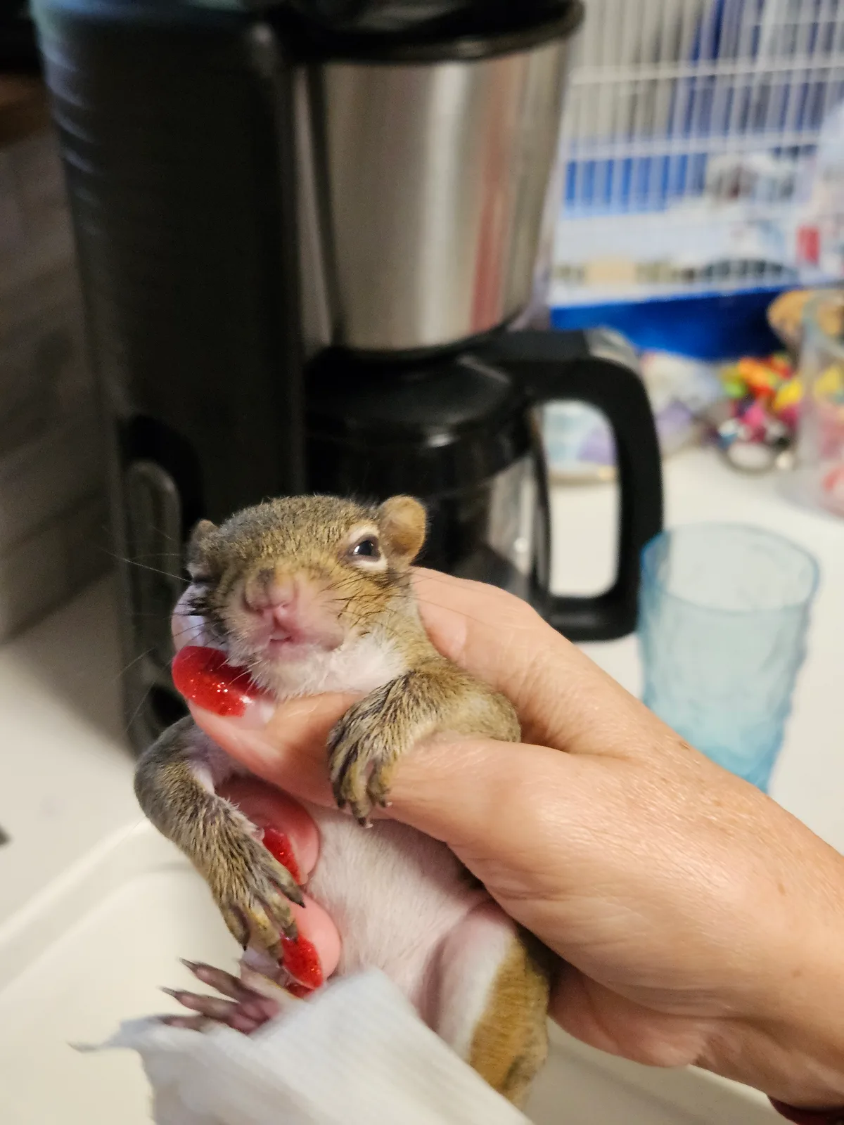 Scrat ("Booger" McSquinty Gilzow): I opened my eyes! I can see!