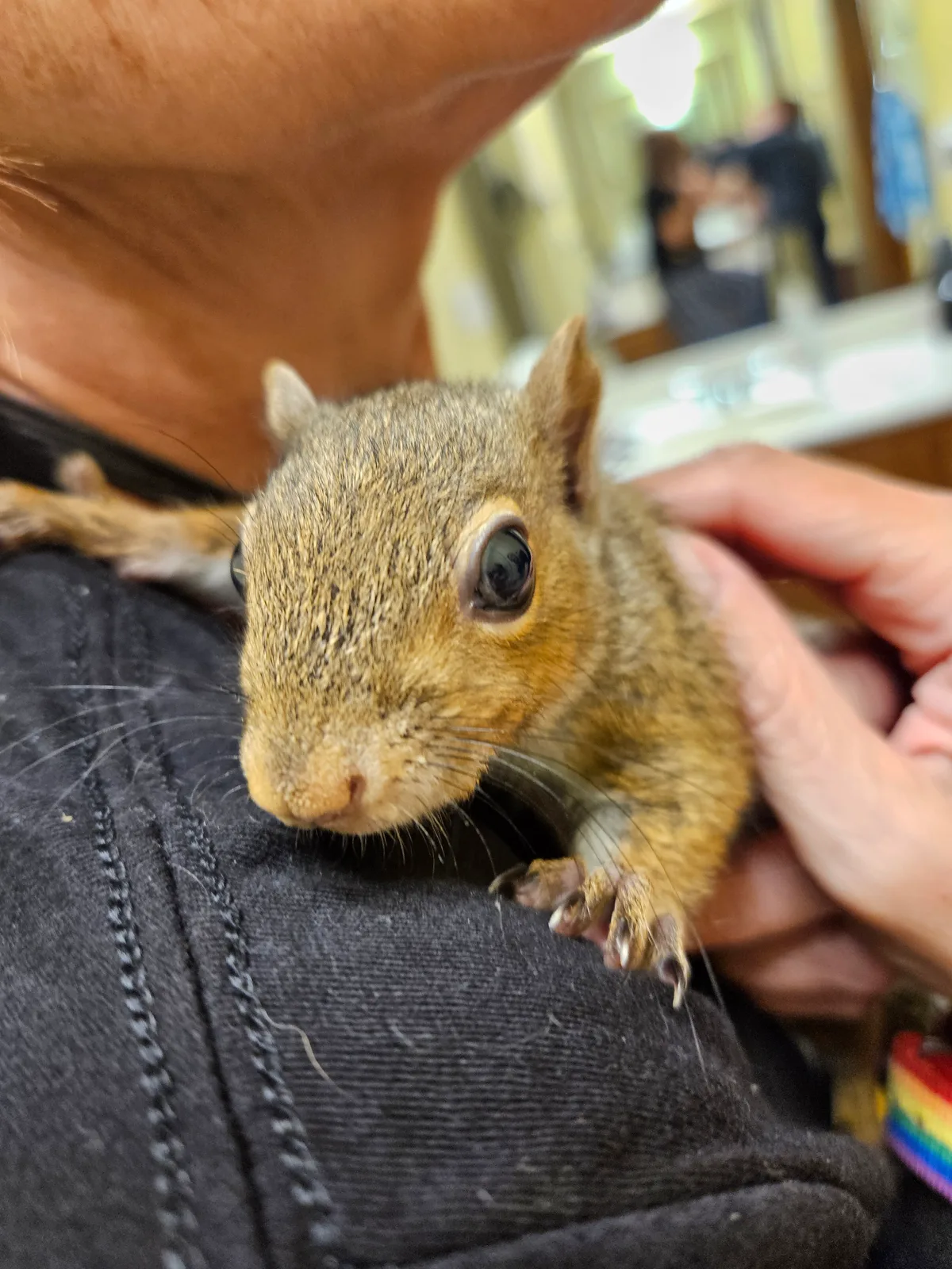 Photo posted by Scrat ("Booger" McSquinty Gilzow)