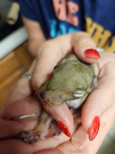 Scrat ("Booger" McSquinty Gilzow)