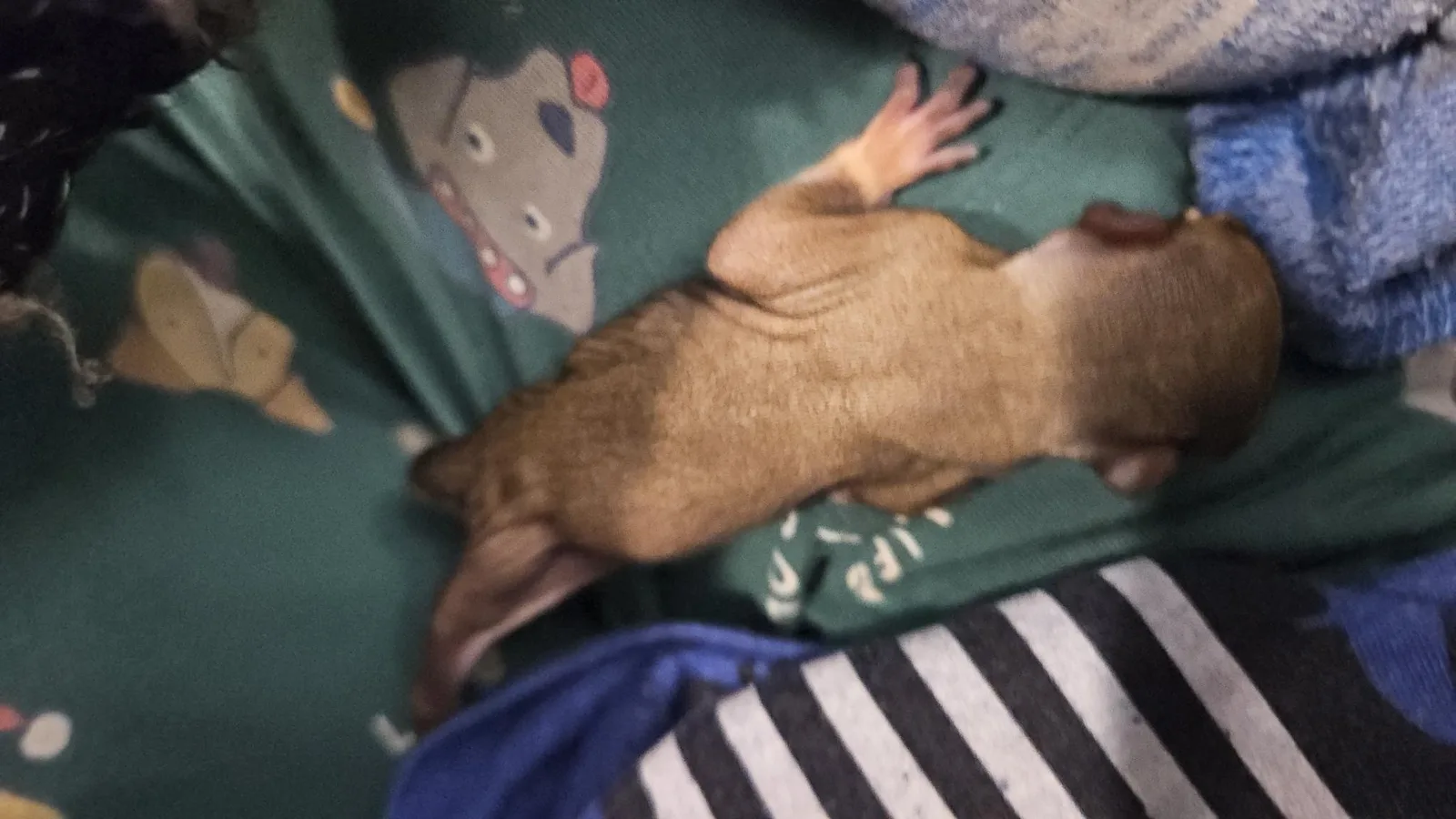 Photo posted by Scrat ("Booger" McSquinty Gilzow)