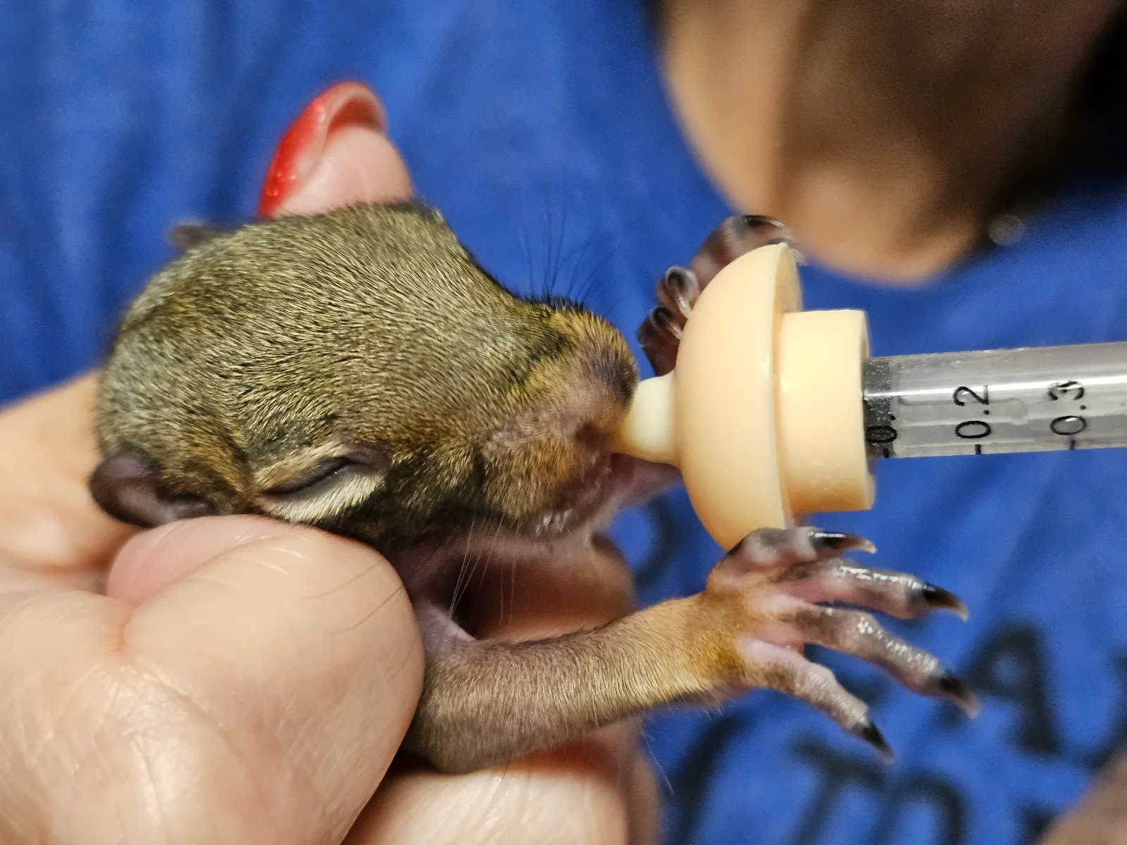 Photo posted by Scrat ("Booger" McSquinty Gilzow)