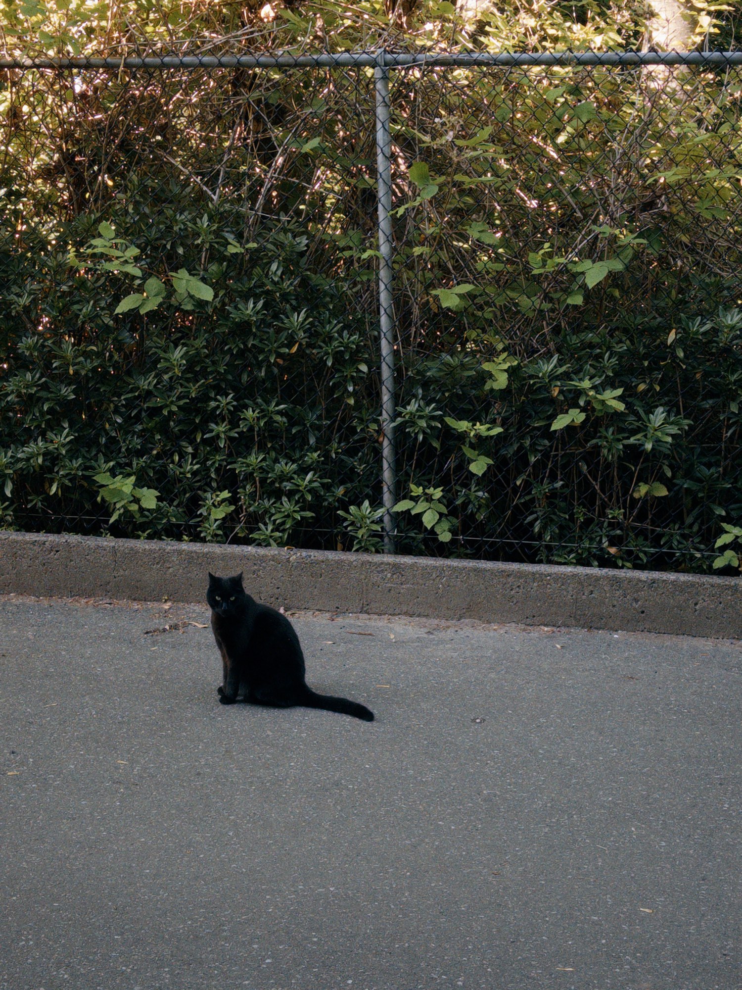 Image undefined
