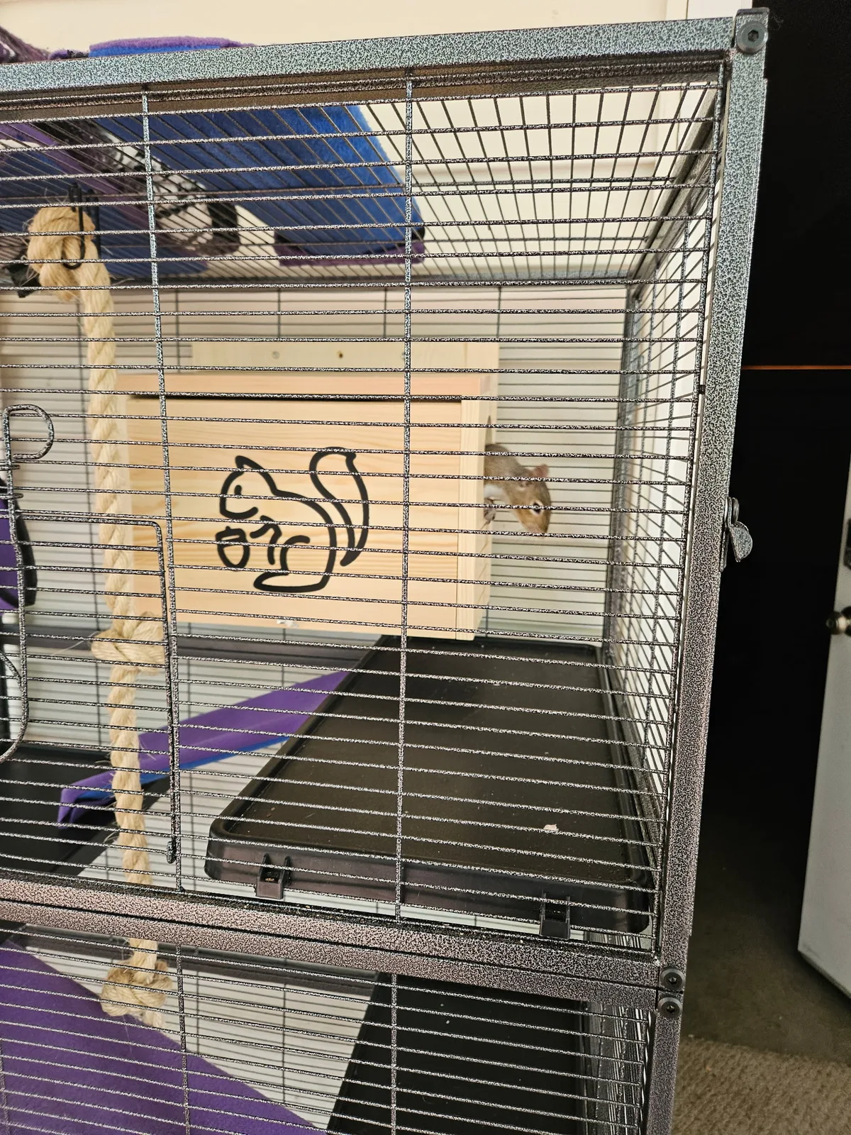 Scrat ("Booger" McSquinty Gilzow): Check out my sweet new bedroom!