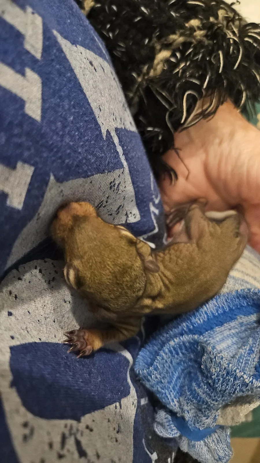 Photo posted by Scrat ("Booger" McSquinty Gilzow)
