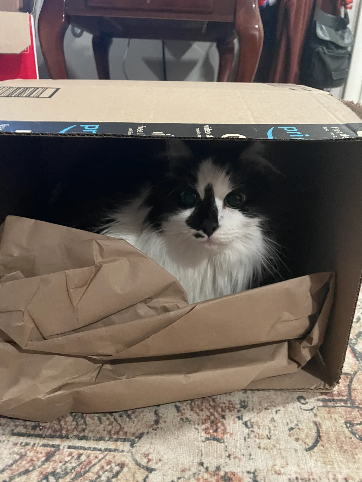 Smoky Barnable: My mom’s not allowed to recycle boxes.
