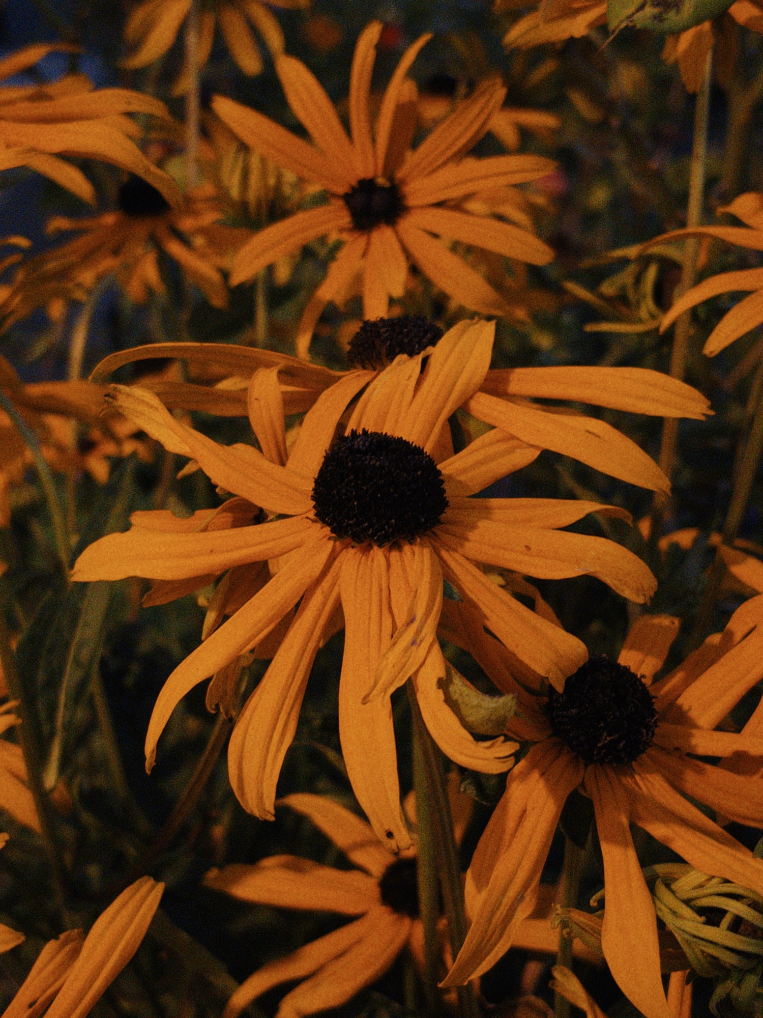 Image undefined