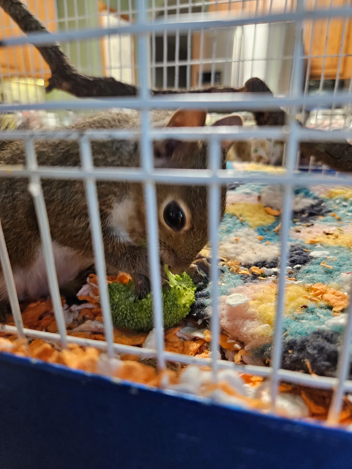 Scrat ("Booger" McSquinty Gilzow): Mom says i have to eat my veggies of i want to grow up to be big and strong
