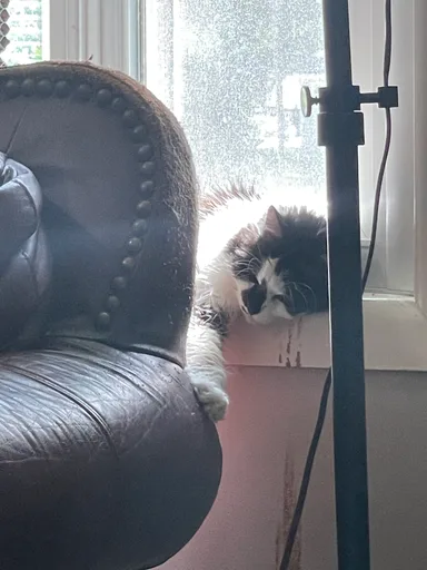 Smoky Barnable